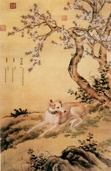 Image du loup Shanxing, un lévrier chinois, de l